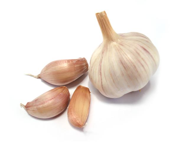 Garlic is Powerful Medicine!