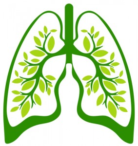 How To Improve Your Lung Health and Breathe Easier | Ask Dr. Maxwell